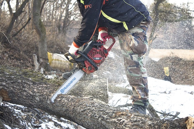 bucking up a log with a chainsaw